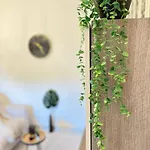 Ai Pelaghi Vespa Dream Apartment *